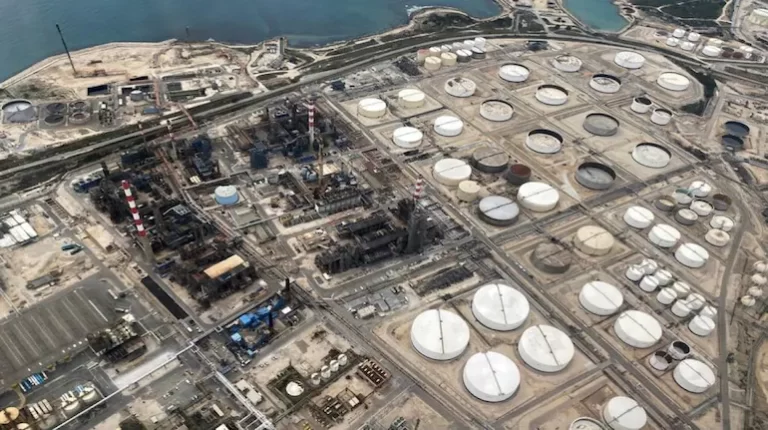 Oil