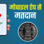 ई-वोटिंग
